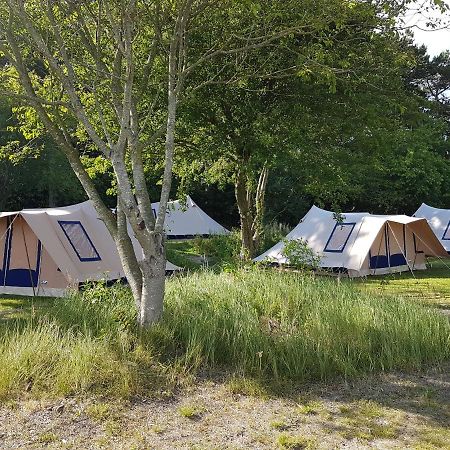 Ameland Tentenverhuur Atv Ballum Eksteriør billede